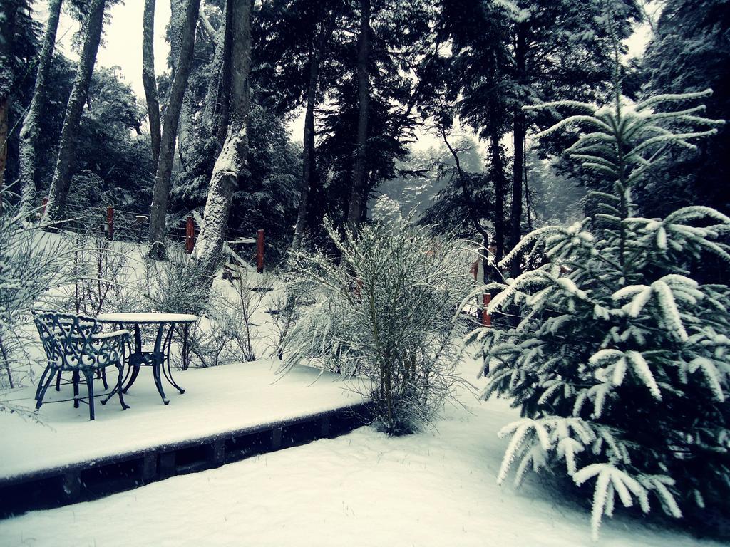 Hosteria Patagon บียาลาอังกอสตูรา ภายนอก รูปภาพ
