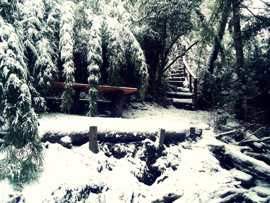 Hosteria Patagon บียาลาอังกอสตูรา ภายนอก รูปภาพ